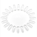 Color Wheel Oval Clear 20 tips