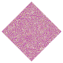 color-dot-175-disco-dolly-lr