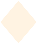 np-dippn-004-cover-up